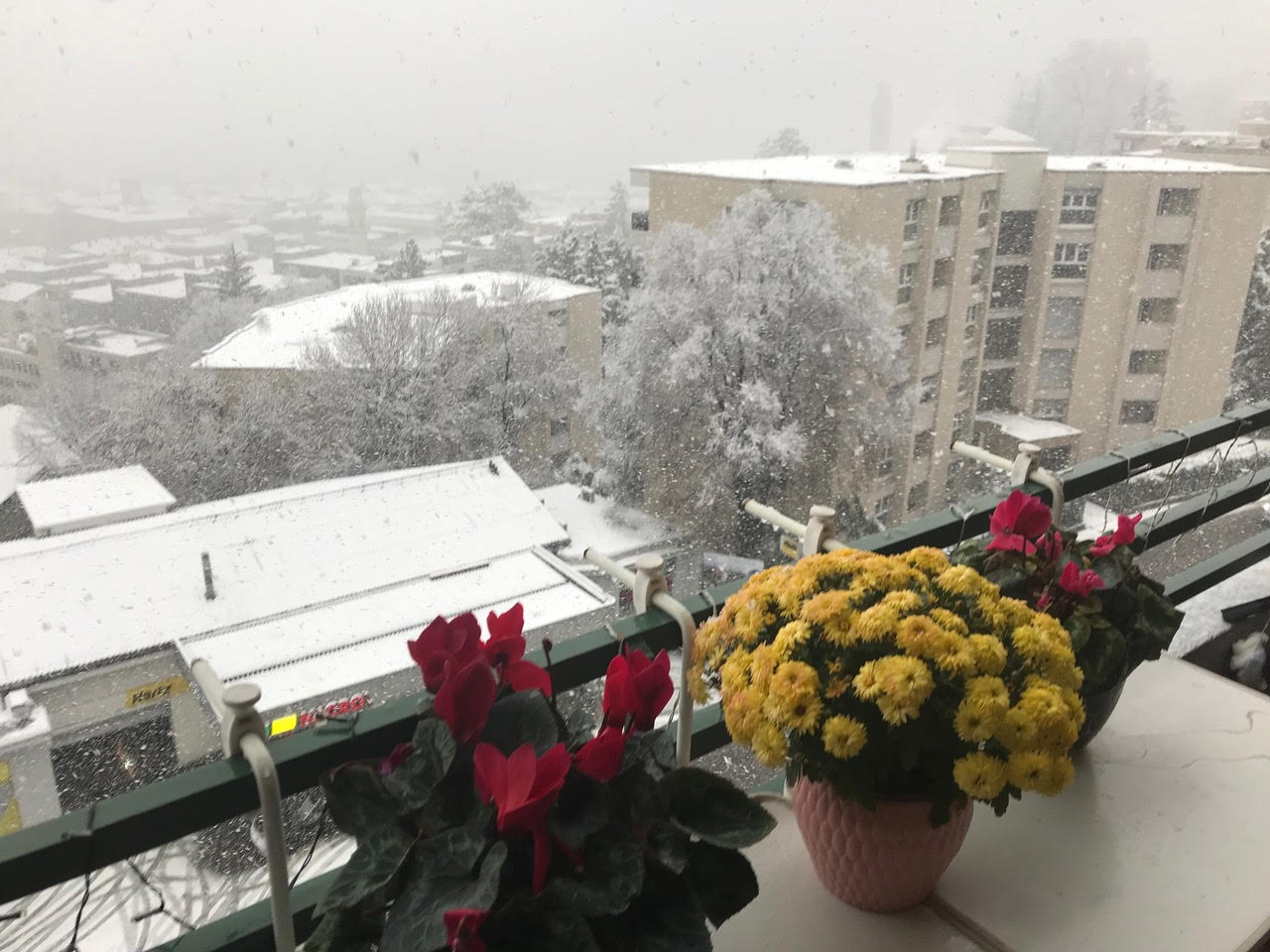 A. Gerosa: Snow in Lugano from my balcony
